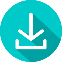 icon 1