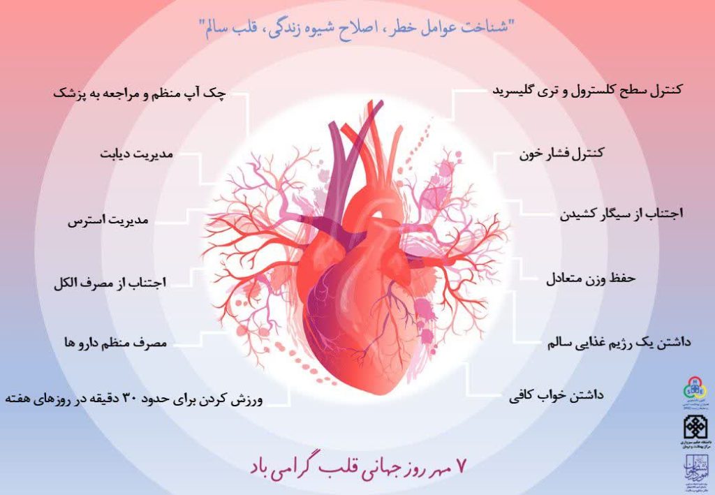قلب سالم