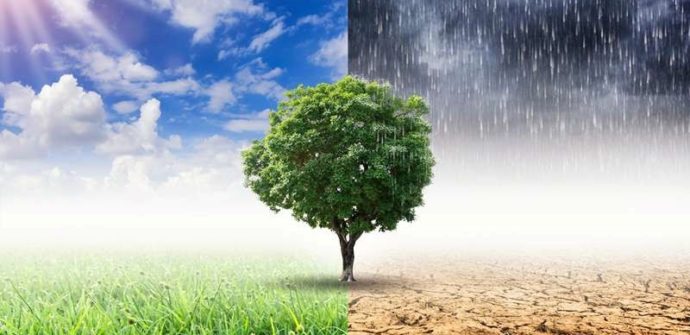 تاب آوری اقلیم چیست ؟Climate resilience