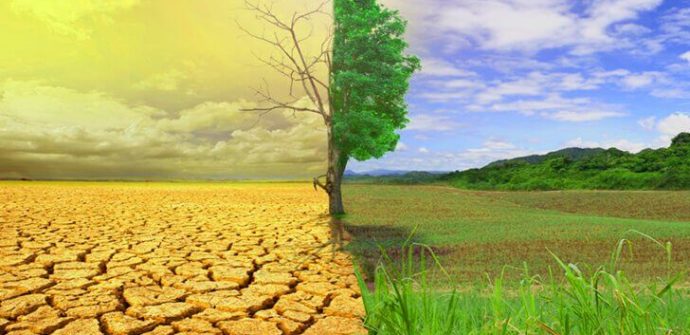 تقویت تاب آوری در برابر تهدیدات زیست‌محیطی