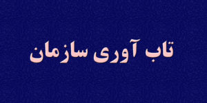 اهمیت تاب آوری سازمانی چیست؟