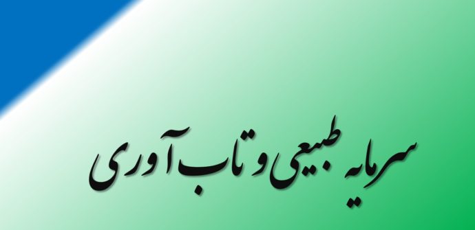 سرمایه طبیعی و تاب آوری