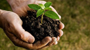 سرمایه طبیعی و تاب آوری اجتماعی