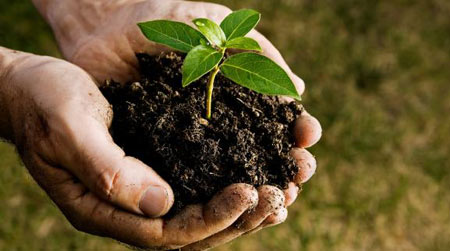 سرمایه طبیعی و تاب آوری اجتماعی