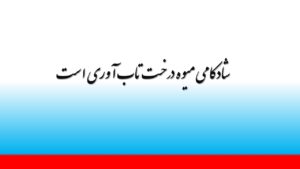 شادکامی میوه درخت تاب آوری است