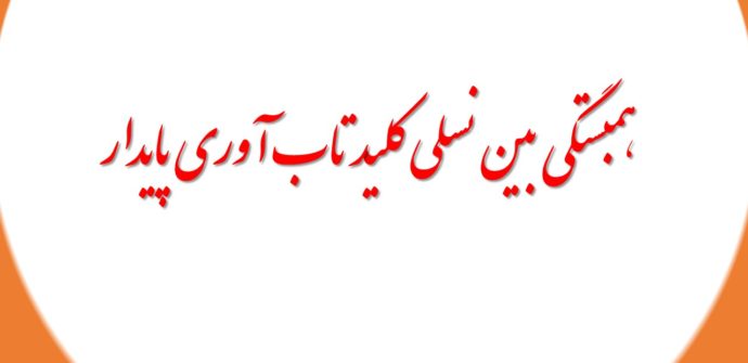 همبستگی بین نسلی کلید تاب آوری پایدار