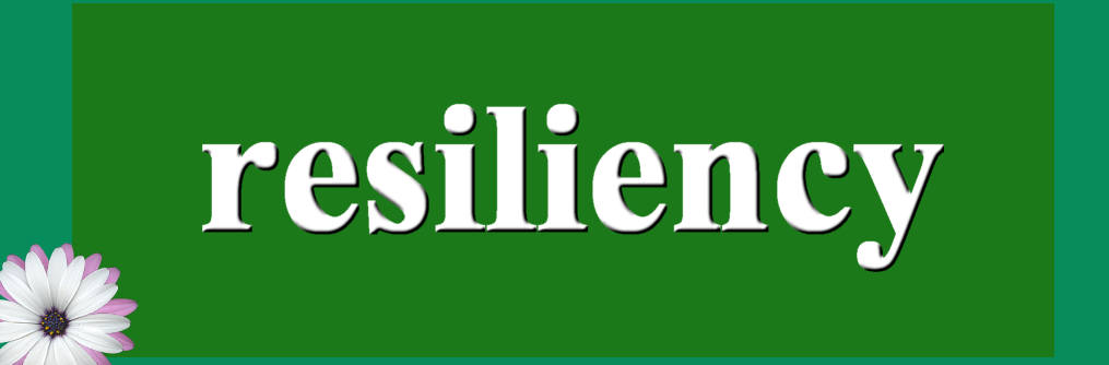 تاب‌آوری اجتماعی در زمان جنگ