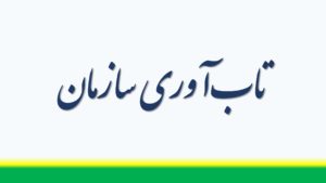 شاخص های تاب آوری سازمان ها در بحران