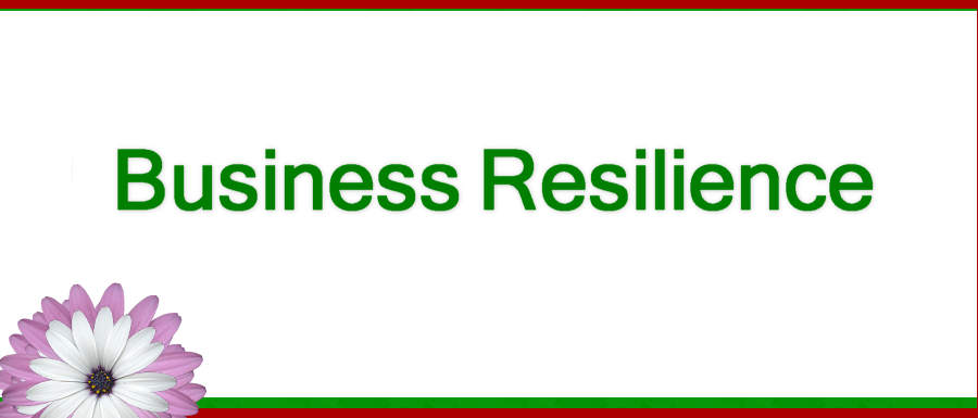 Business Resilience