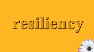 تاب‌آوری فرهنگی به عنوان ساختار دفاعی نامرئی جوامع