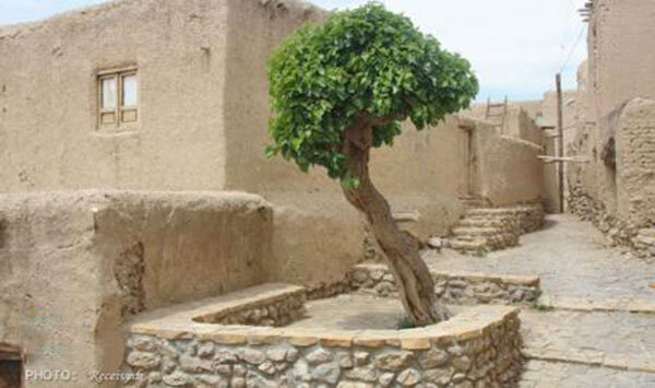  نقش زنان روستایی و عشایر در تاب‌آوری فرهنگی 