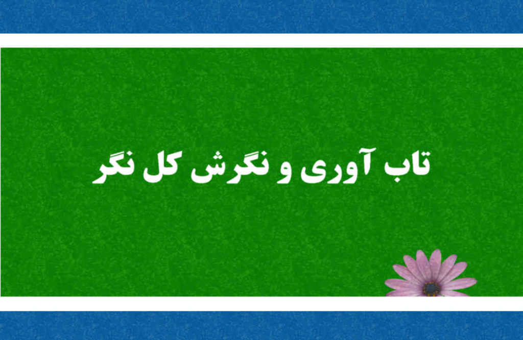رابطه نگرش کل نگر و تاب آوری