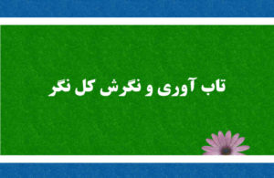 رابطه نگرش کل نگر و تاب آوری