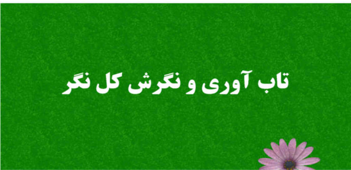 رابطه نگرش کل نگر و تاب آوری