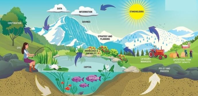 تاب‌آوری اکوسیستم